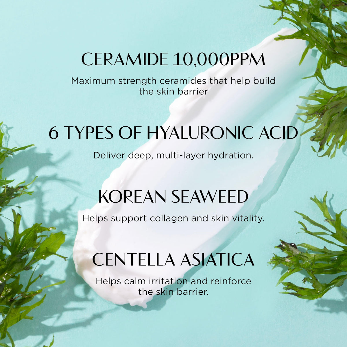 OLIVIAUMMA Velvety Rich Barrier Cream - Hydrating Face Cream with 6 Types of Hyaluronic Acid, Ceramide NP & Centella Asiatica - Nourishing & Firming Moisturizer Cream for All Skin Types - 50g